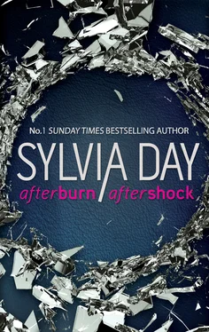 Sylvia Day Afterburn & Aftershock: Afterburn / Aftershock обложка книги