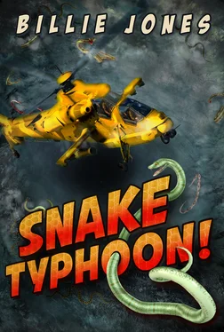 Billie Jones Snake Typhoon! обложка книги