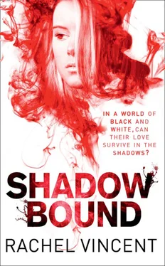 Rachel Vincent Shadow Bound обложка книги