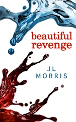 J Morris - Beautiful Revenge
