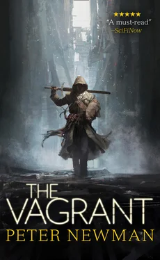 Peter Newman The Vagrant обложка книги