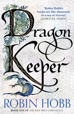 Robin Hobb Dragon Keeper обложка книги