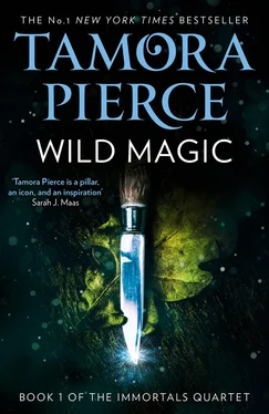 Tamora Pierce Wild Magic обложка книги