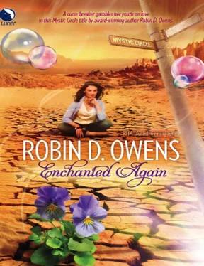 Robin Owens Enchanted Again обложка книги