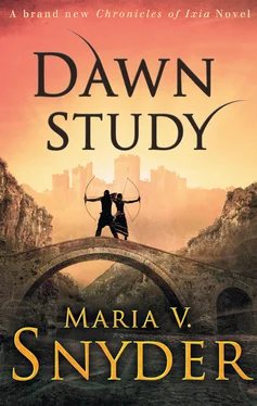 Maria Snyder Dawn Study обложка книги