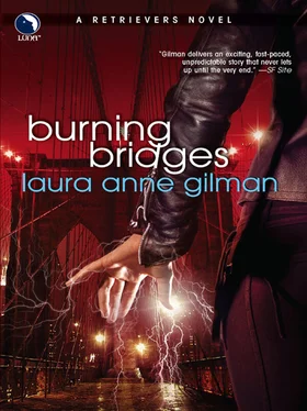 Laura Gilman Burning Bridges обложка книги