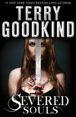 Terry Goodkind Severed Souls