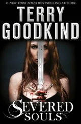 Terry Goodkind - Severed Souls