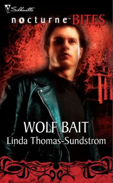 Linda Thomas-Sundstrom Wolf Bait обложка книги