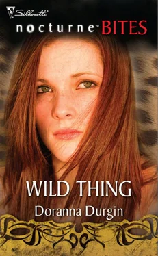 Doranna Durgin Wild Thing обложка книги