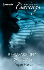 Megan Hart - Reawakened Passions