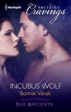 Bonnie Vanak Incubus Wolf обложка книги