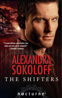 Alexandra Sokoloff The Shifters обложка книги