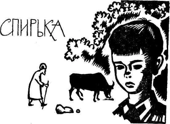 Спирька обыкновенный мальчишка лет двенадцати И лицо у него обыкновенное - фото 10