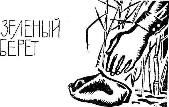 Утром мы выехали с заставы спустились в сухую балку и направились в тыл - фото 5