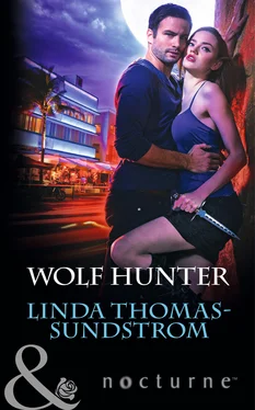 Linda Thomas-Sundstrom Wolf Hunter обложка книги