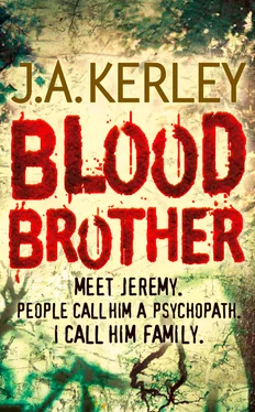 J. Kerley Blood Brother обложка книги