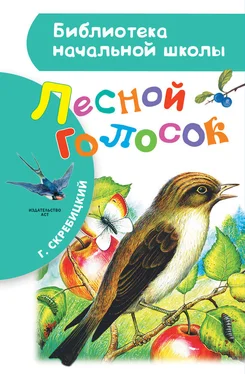 Георгий Скребицкий Лесной голосок (сборник) обложка книги