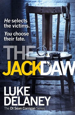 Luke Delaney The Jackdaw обложка книги