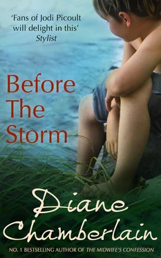 Diane Chamberlain Before the Storm обложка книги