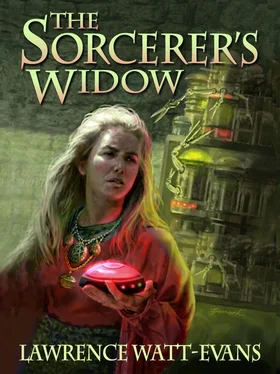 Lawrence Watt-Evans The Sorcerer's Widow обложка книги