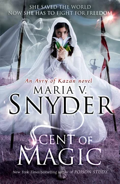 Maria Snyder Scent of Magic обложка книги