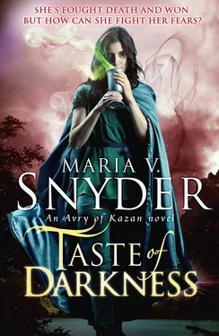 Maria Snyder Taste Of Darkness обложка книги