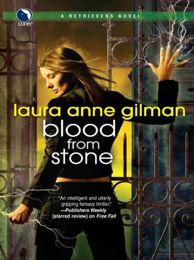 Laura Gilman Blood from Stone обложка книги