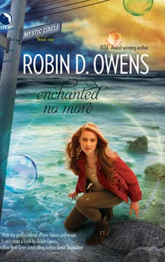 Robin Owens Enchanted No More обложка книги