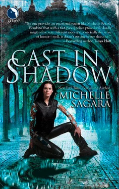 Michelle Sagara Cast In Shadow обложка книги