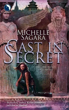 Michelle Sagara Cast In Secret обложка книги