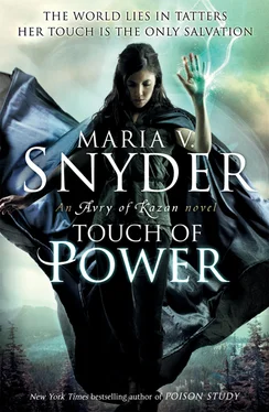 Maria Snyder Touch of Power обложка книги