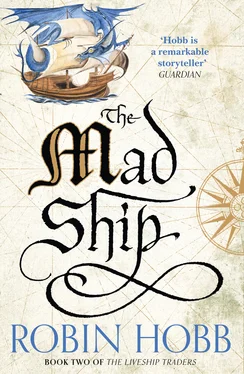 Robin Hobb The Mad Ship обложка книги