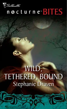 Stephanie Draven Wild, Tethered, Bound обложка книги