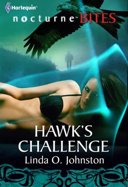 Linda Johnston Hawk's Challenge обложка книги