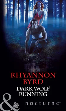 Rhyannon Byrd Dark Wolf Running обложка книги