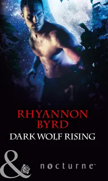 Rhyannon Byrd Dark Wolf Rising обложка книги