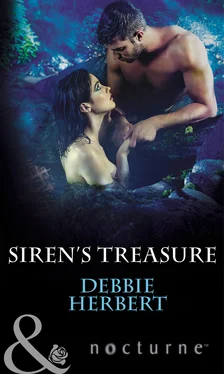 Debbie Herbert Siren's Treasure обложка книги