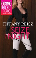 Tiffany Reisz - Seize the Night