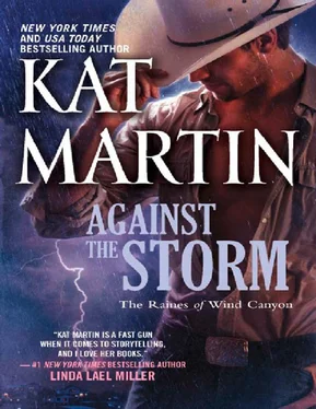 Kat Martin Against the Storm обложка книги