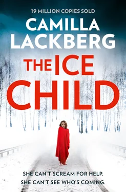 Camilla Lackberg The Ice Child обложка книги