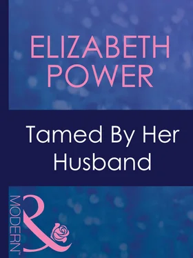 Elizabeth Power Tamed By Her Husband обложка книги