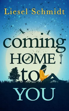 Liesel Schmidt Coming Home To You обложка книги