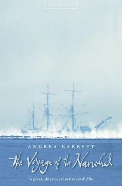 Andrea Barrett The Voyage of the Narwhal обложка книги