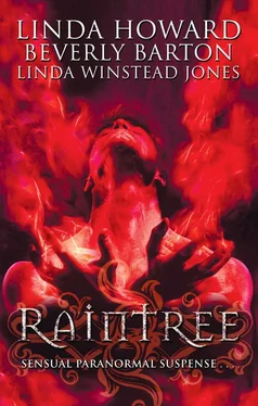 Linda Howard Raintree: Raintree: Inferno / Raintree: Haunted / Raintree: Sanctuary обложка книги