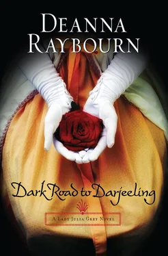 Deanna Raybourn Dark Road to Darjeeling обложка книги