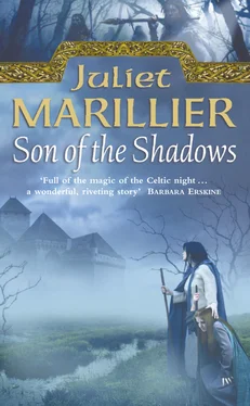 Juliet Marillier Son of the Shadows обложка книги