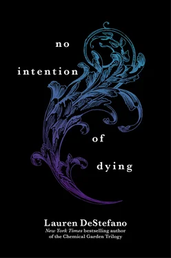 Lauren DeStefano No Intention of Dying обложка книги