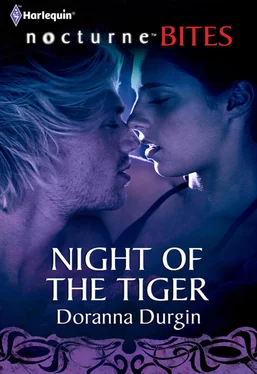 Doranna Durgin Night of the Tiger обложка книги