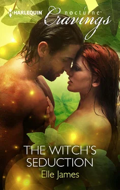 Elle James The Witch's Seduction обложка книги